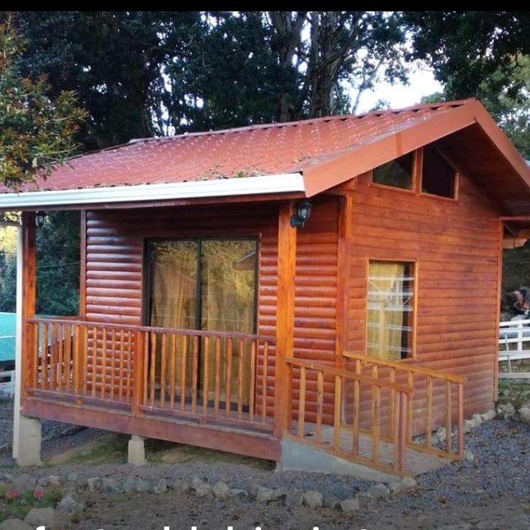 Cabanas San Gerardo San Gerardo de Dota Εξωτερικό φωτογραφία