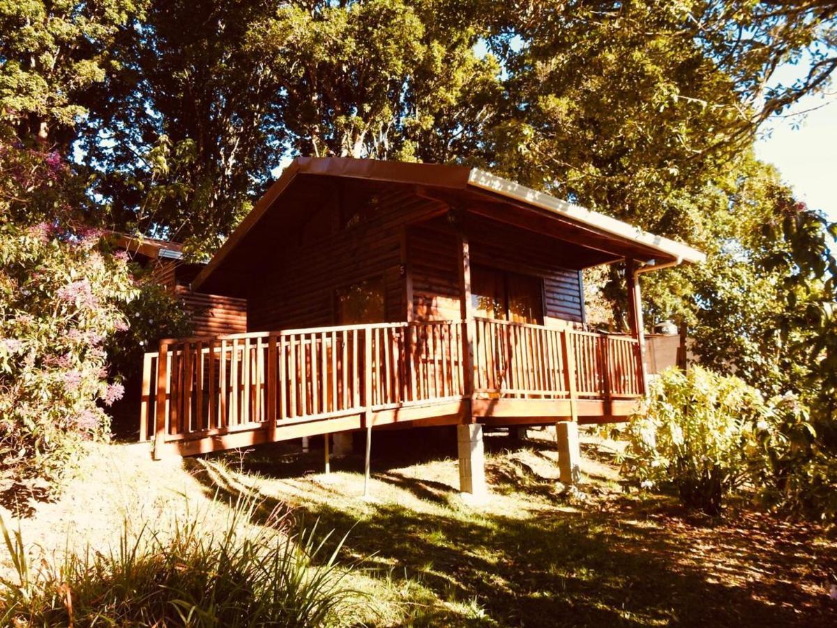 Cabanas San Gerardo San Gerardo de Dota Εξωτερικό φωτογραφία
