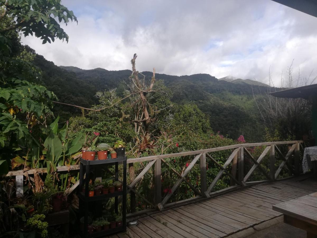 Cabanas San Gerardo San Gerardo de Dota Εξωτερικό φωτογραφία